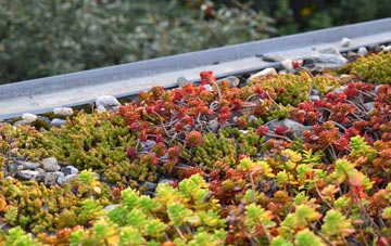 the cost of Beechen Cliff green roof installation