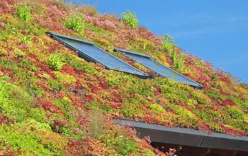 Beechen Cliff living roof systems