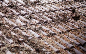 Beechen Cliff roof cleaning companies